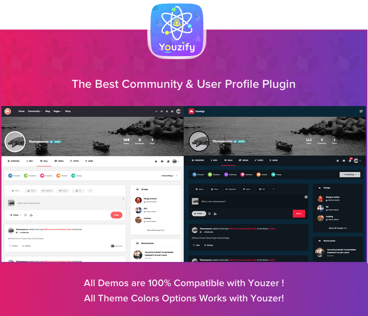 Gwangi - PRO Multi-Purpose Membership, Social Network & BuddyPress Community Theme - 21